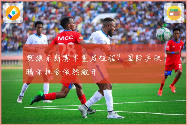 樊振东新赛季重启征程？国际乒联暗示机会依然敞开