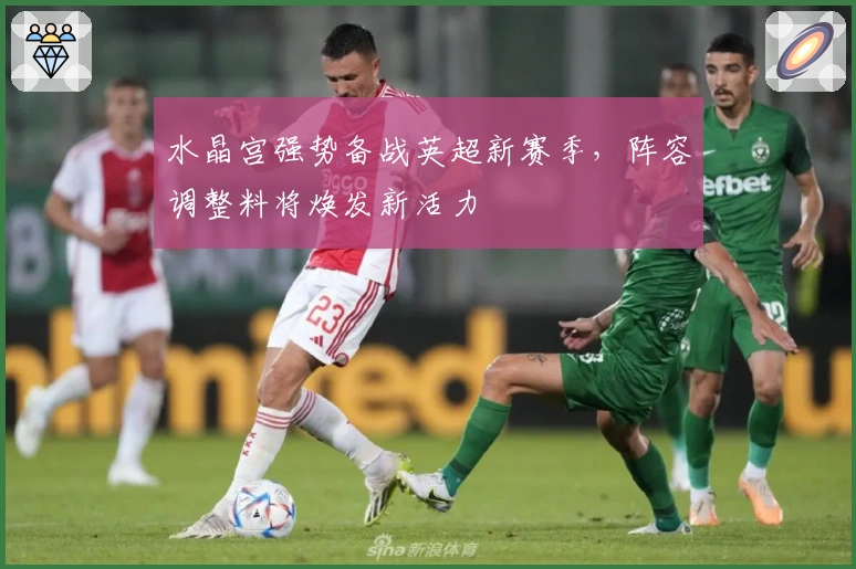 水晶宫强势备战英超新赛季，阵容调整料将焕发新活力